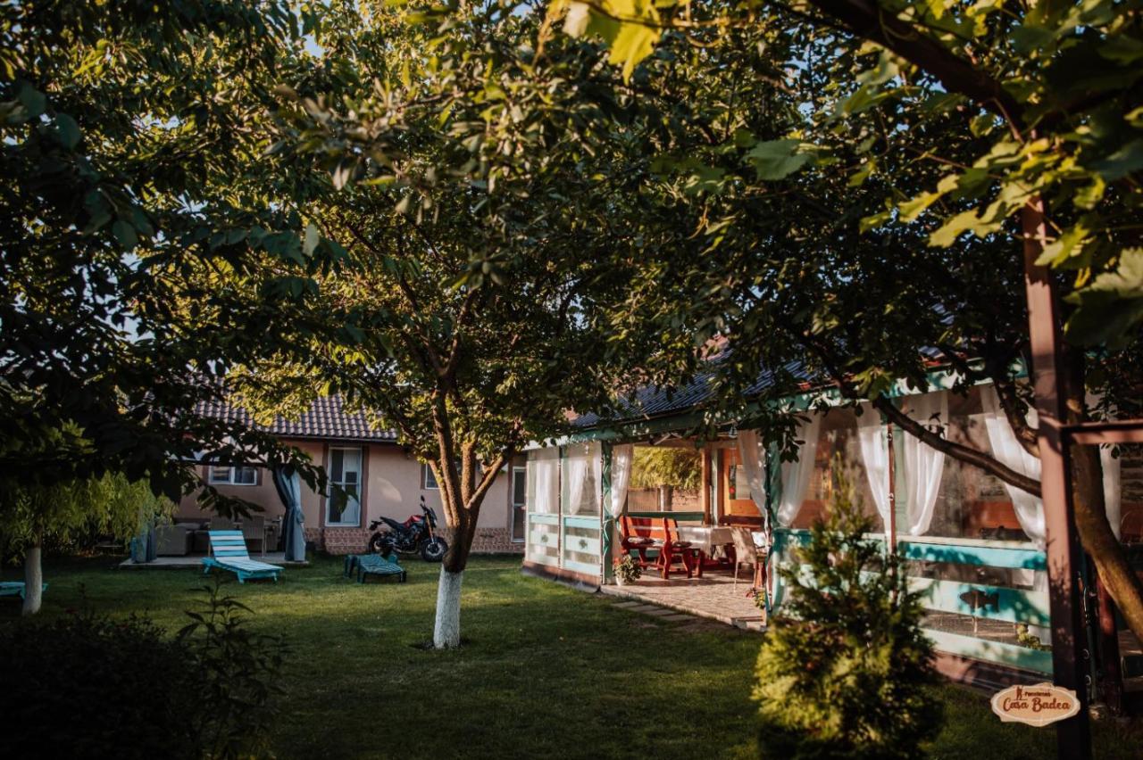 Hotel Casa Badea Murighiol Exteriér fotografie